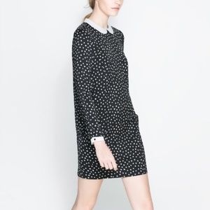 Zara polka dot  dress with white peter pan collar